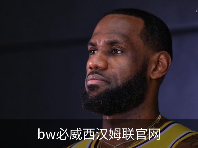 bw必威西汉姆联官网概况